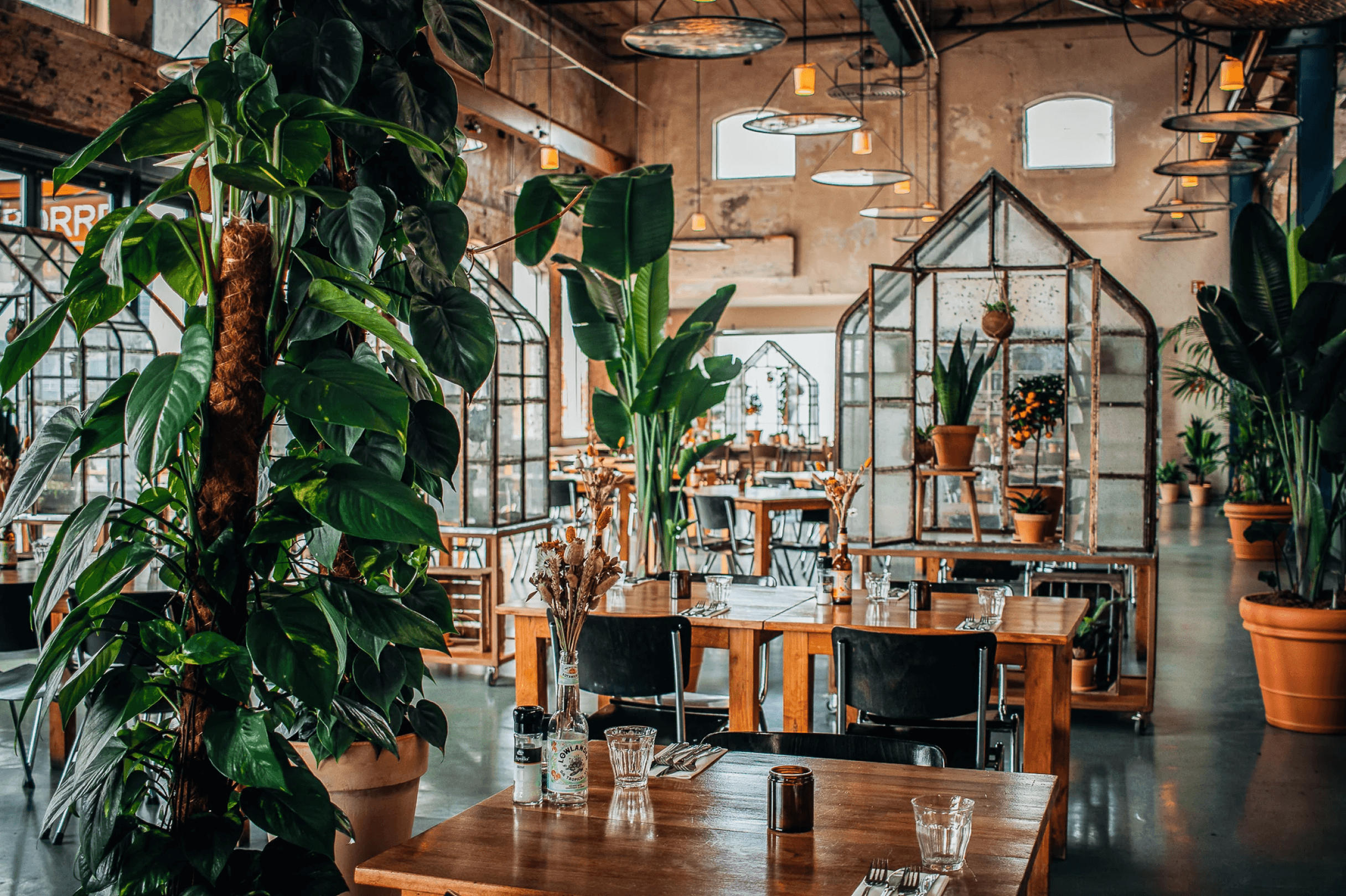 Lowlander Botanical Bar en Restaurant